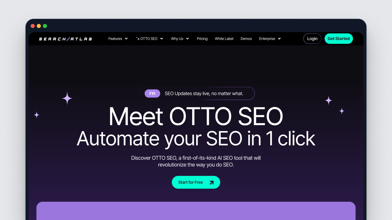 SearchAtlas OTTO